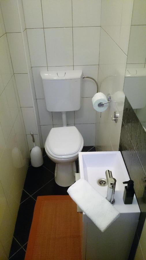 Zagorje ob Savi Bergmannhausヴィラ エクステリア 写真